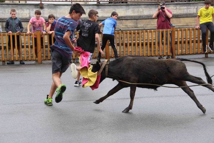 hernialde festak puzgarriak  51 1534160786684