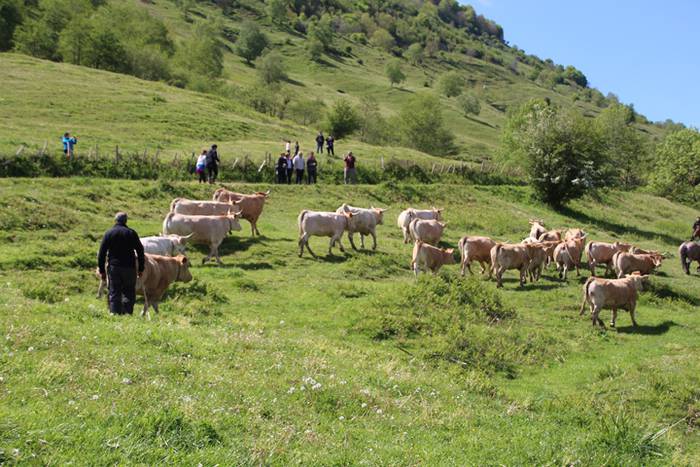 Larre irekiera Larraitzen 20 89 1493640204643