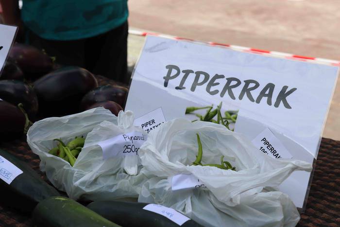 Postu txikiz bete da Alegiko 33 1632658214563