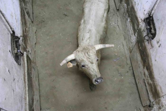 Itzuli dira plazara 69 1645726415289