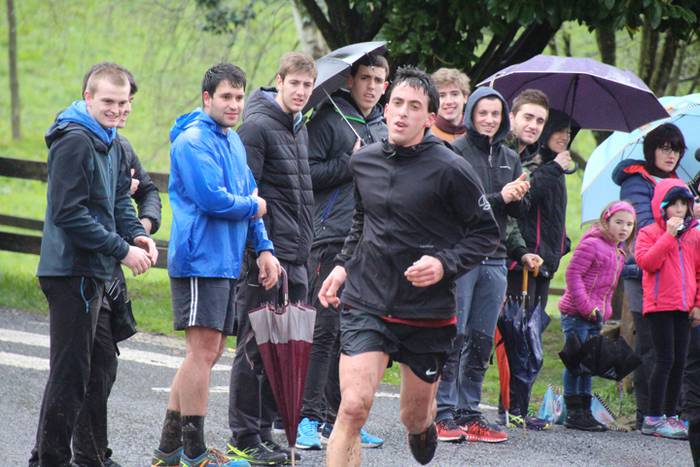 Larraul-Hernio-Larraul mendi 36 1521384664987