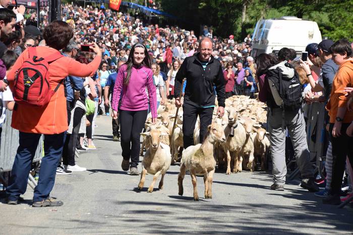 Larrerati dituzte abereak Ar 57 1556716328265