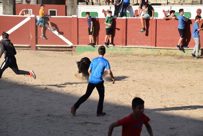 Berazubiko festak 2017, zeze 44 1507822994694