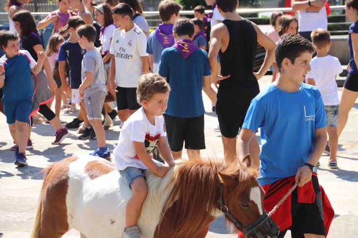 Festak hasteko, poniak eta z 46 1566994006024