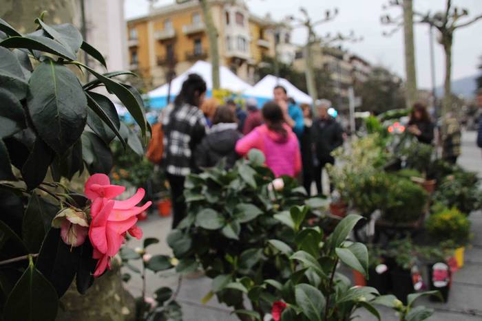 Erein eta zaintzearen magiak 21 1581165939661