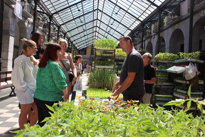 tolosako zokara bisita gidat 15 1657363889377