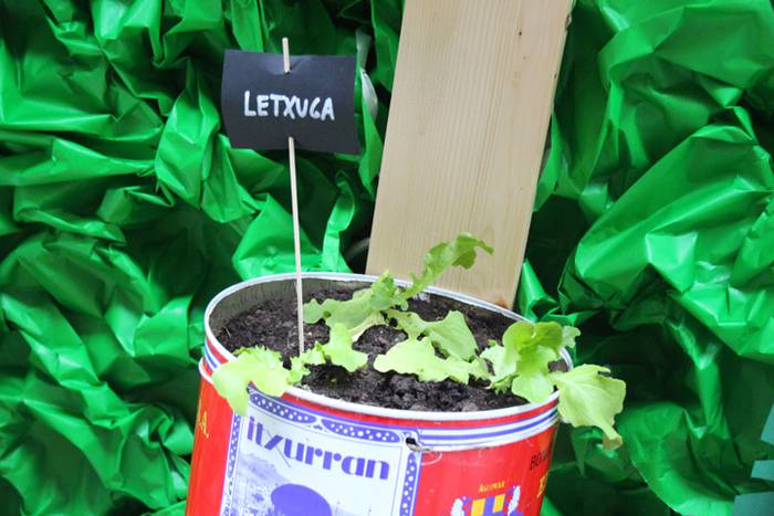 artekalea tolosa baratzeak 2016 6 1462968044358