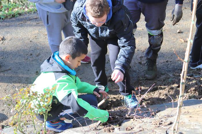 Tolosako ikasleek zuhaitzak  26 1520435582516