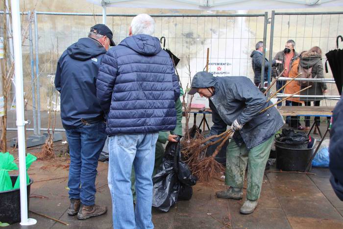 Zuhaitz azoka 2022 14 1645283028080