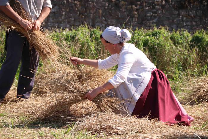 Garia bildu dute ogia egitek 78 1532423339189