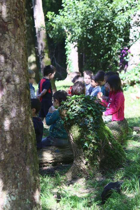 Elosegi parkeko biodibertsit 14 1559225132861