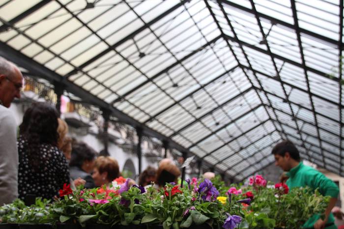 Eta liliek Tolosa ere amets 36 1495290408319