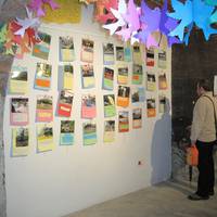 Fleming. Kultur astea