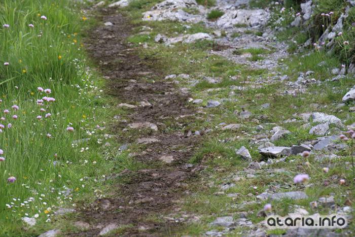 XIV Orduak Minak - Larrondo 161 1464547201728