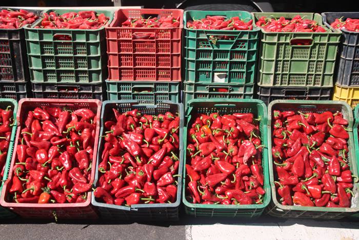 Berezia eta jendetsua 43 1506256665297