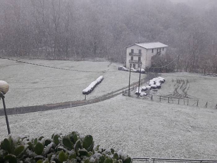 ELURRA 2017 AZAROA 7 1512123660438