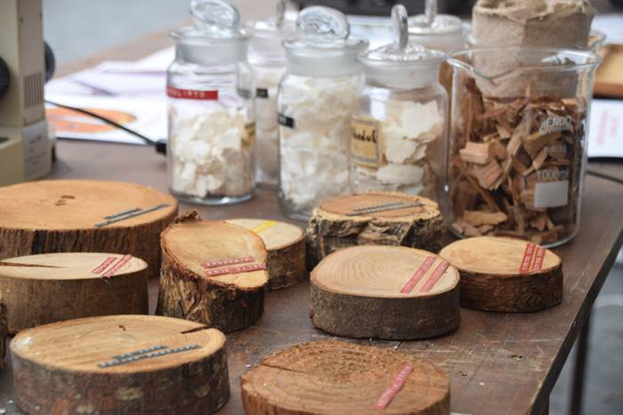 Zuhaitz Azoka, Tolosa, 2017 21 1486819684326