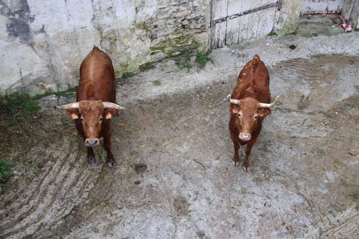 Itzuli dira plazara 70 1645726415753