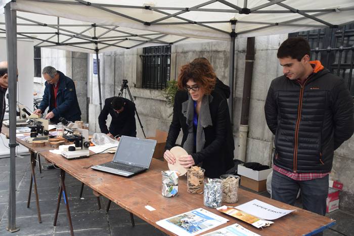 Zuhaitz Azoka, Tolosa, 2017 18 1486819669293