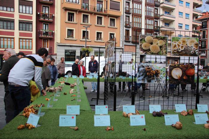 5.000 kilo txanpinoi saltsan 19 1571486539105