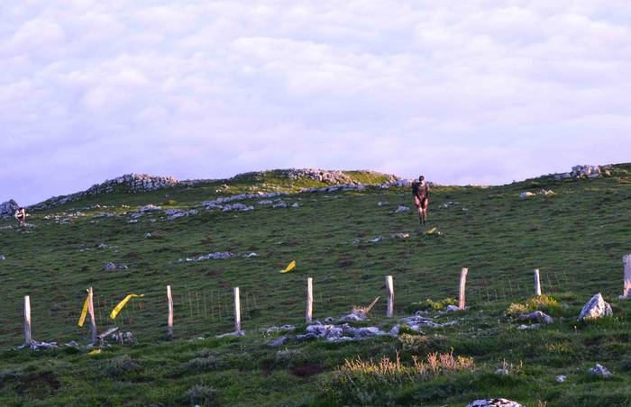 Txirrita Mendi Martxa: mendi 3 1526888161292