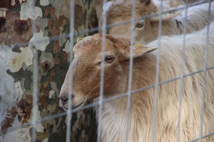 Herritarren salerosketarako  1 1509290128368