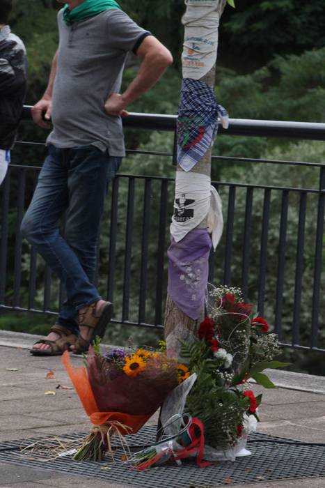 REMIREN OMENALDIA 2017 1 1501530768330