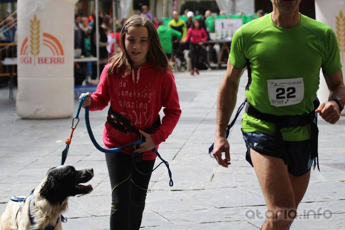 txakur krosa tolosa 2016 6 1458498831028