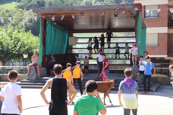 Festak hasteko, poniak eta z 55 1566994017703