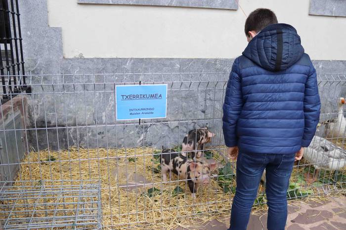 Oholtza gainera igo dira ira 18 1636308515649