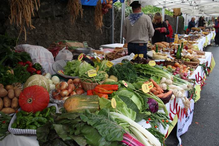 Baserritar eta artisauen bil 2 1506884612111