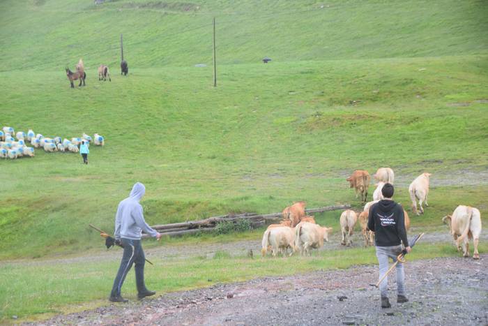 Larre irekiera Berastegi 202 20 1621072179508