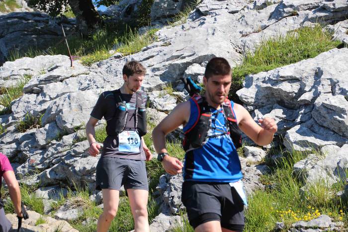 T3T, Hernio 2019 84 1560688447953