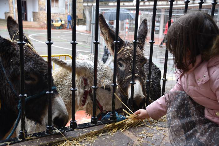 Azoka euriaren gainetik 34 1478447551473