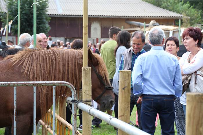 Hutsik egiten ez duen azoka berezia 28 1474813272333