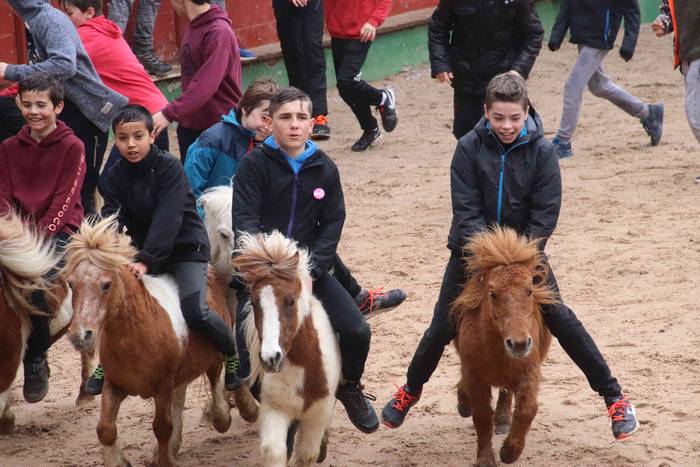 Txikienak zezen txikien aurr 22 1552240884329