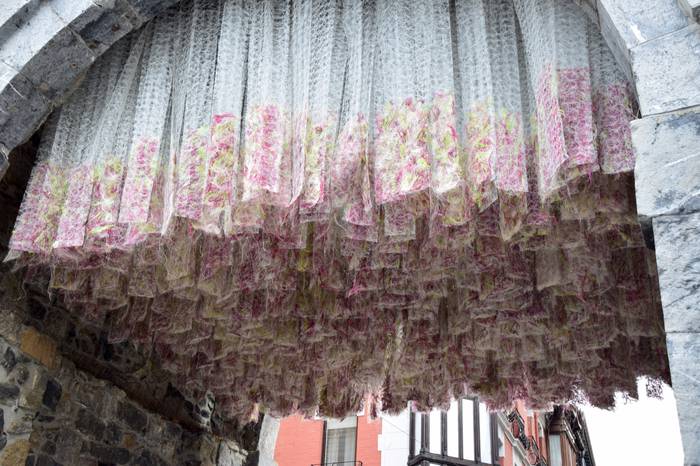 Lore eta Landare azoka Tolos 18 1652529027906