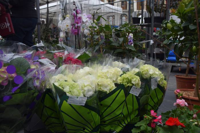 Zuhaitz Azoka, Tolosa, 2017 11 1486819627490