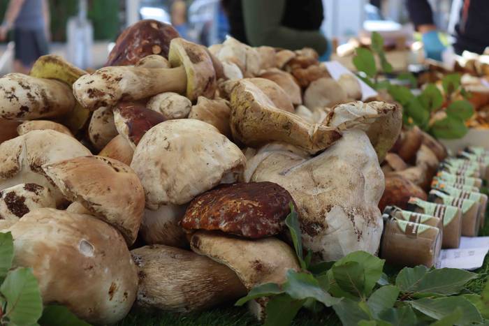 Zizurkilgo herrigunea azoka  25 1665320443766