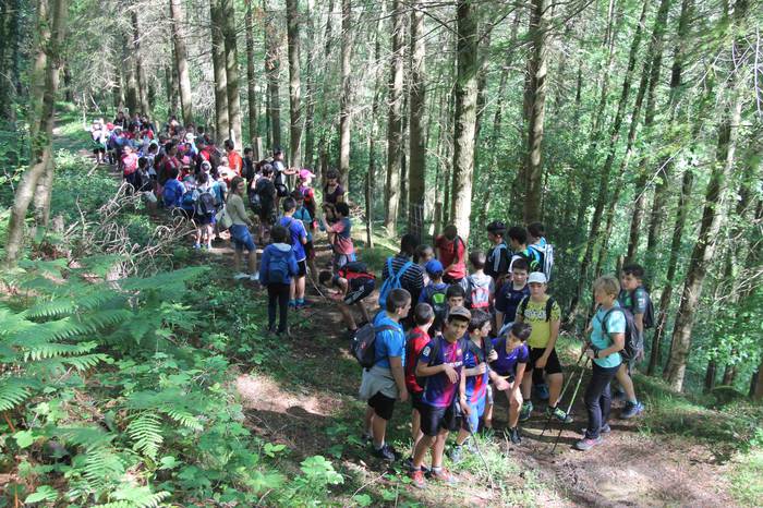 Fleming mendi irteera 5 1559657922035