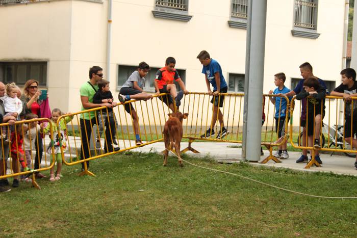 Ikaztegietako Jaiak 2017, um 10 1502457208580