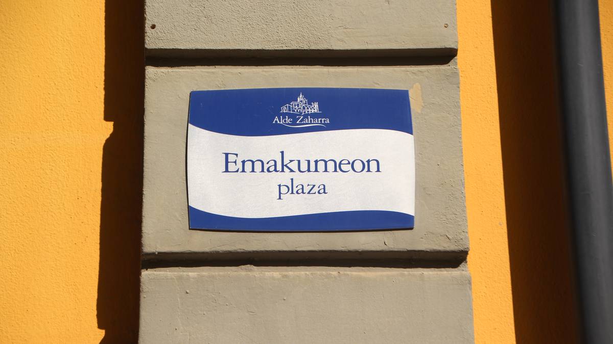 Martxan da Tolosako kale izendegian emakumeak ikusarazteko egitasmoa