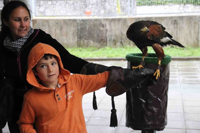 VIII. Udaberriko Azokaz goza 32 1558278840716