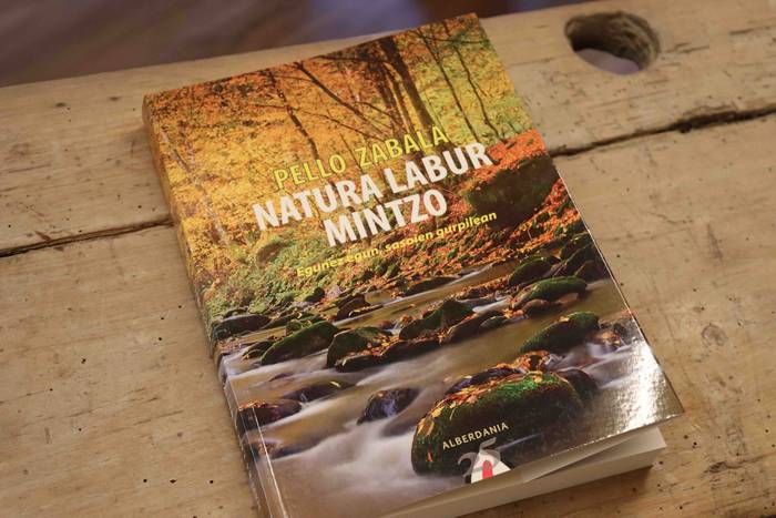 Pello Zabala gunearen ateak  36 1649589531806