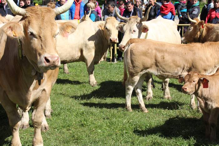 Larre irekiera Larraitzen 20 28 1493639830363