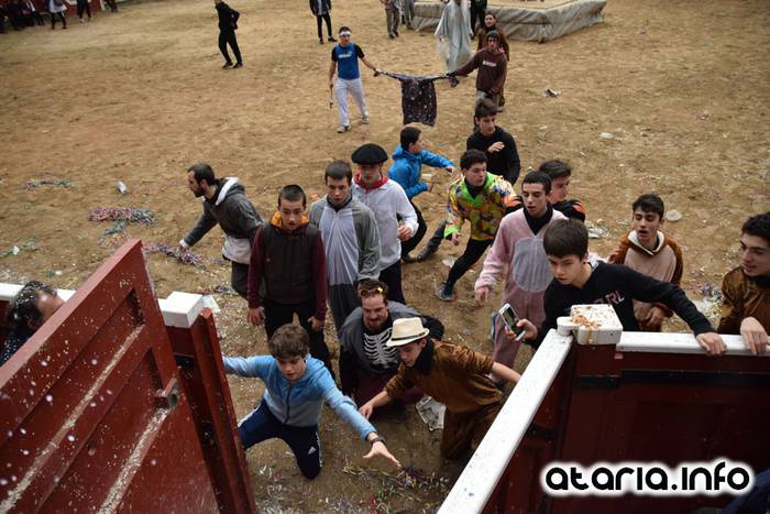 Pattar zezena 2016 57 1455012404652