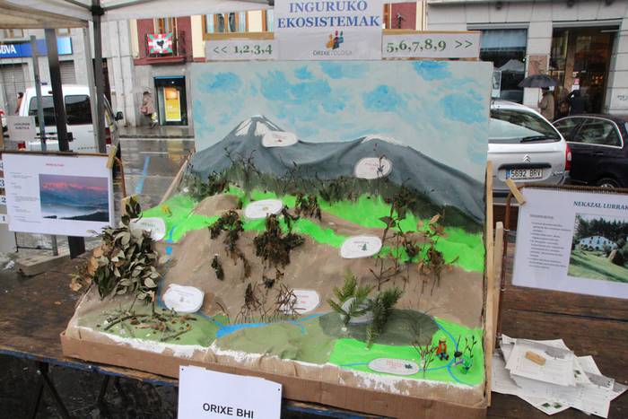 Zuhaitz Azoka Tolosan 2016 3 1456601465963