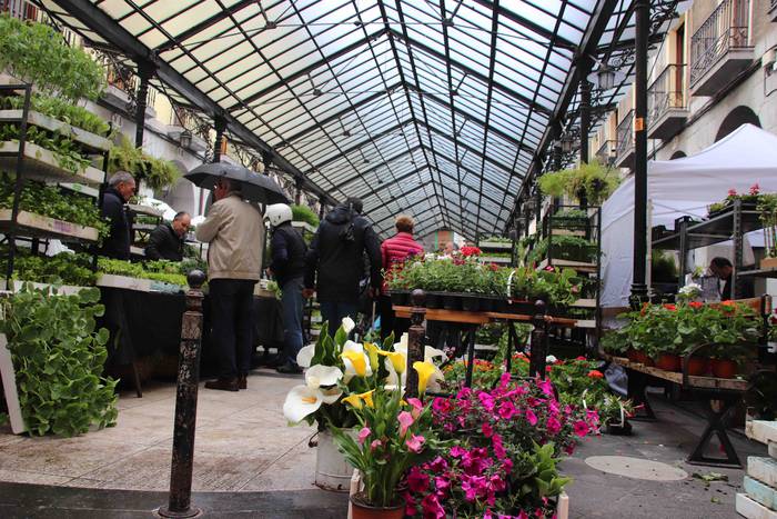 Lore eta Landare Azoka 2019 9 1558171898706