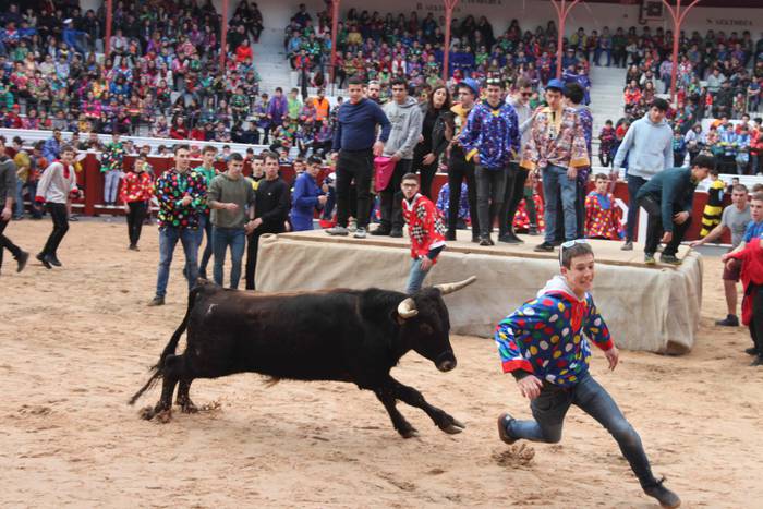 Inauteriak 2020, zezenak Ost 20 1582222550075