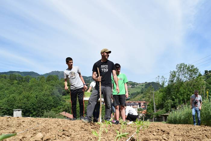 Piper landaketa Ibarran, 201 45 1494844548768